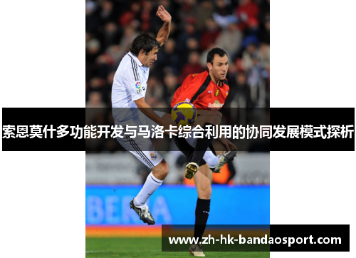 索恩莫什多功能开发与马洛卡综合利用的协同发展模式探析