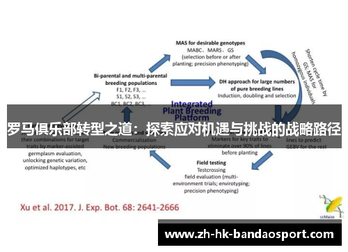 罗马俱乐部转型之道：探索应对机遇与挑战的战略路径