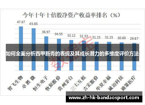 如何全面分析西甲新秀的表现及其成长潜力的多维度评价方法