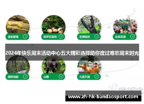 2024年快乐周末活动中心五大精彩选择助你度过难忘周末时光