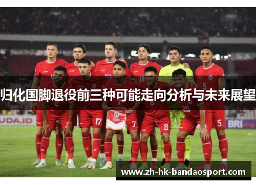 归化国脚退役前三种可能走向分析与未来展望 归化国脚退役前三种可能走向分析与未来展望