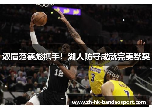 浓眉范德彪携手！湖人防守成就完美默契