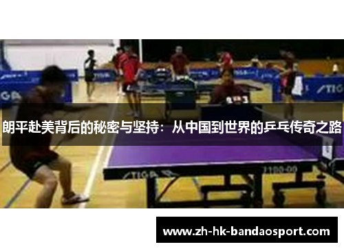 朗平赴美背后的秘密与坚持：从中国到世界的乒乓传奇之路