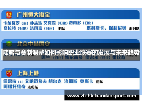 降薪与赛制调整如何影响职业联赛的发展与未来趋势